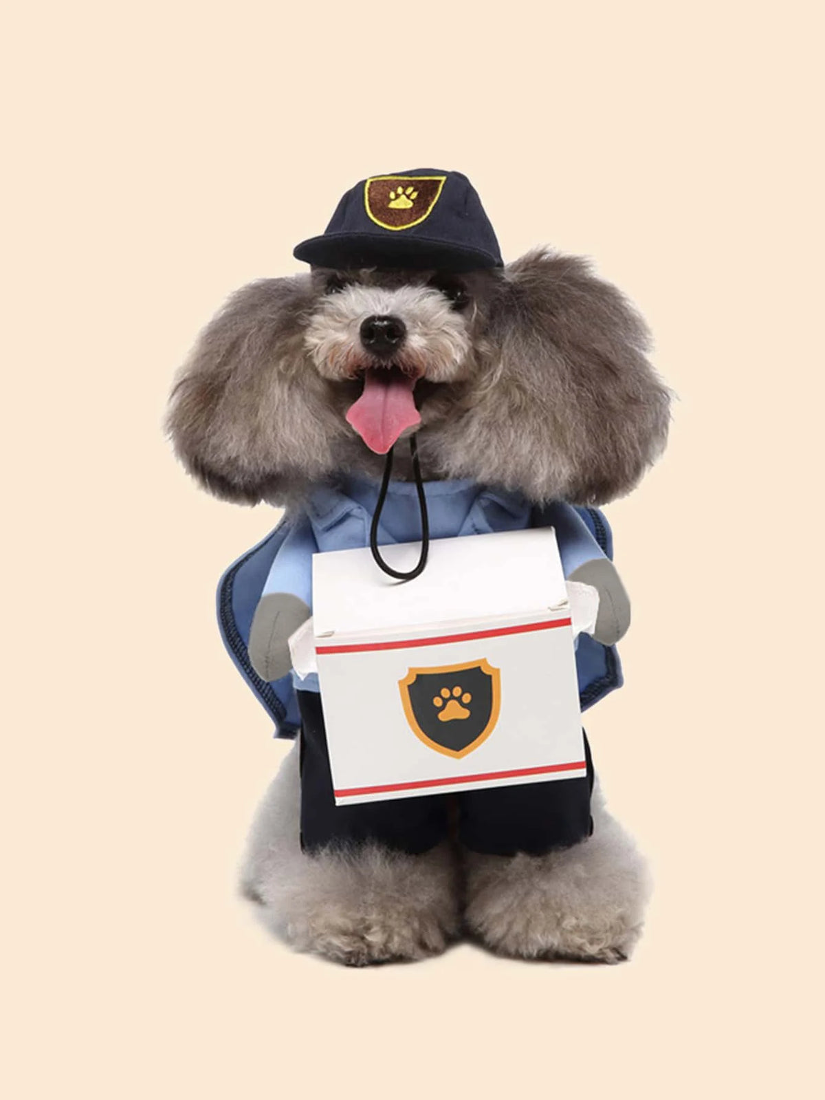 Pet dog transformation costume - Seasonal universal dog clothing - Cute and fashionable - Suitable for small dogs