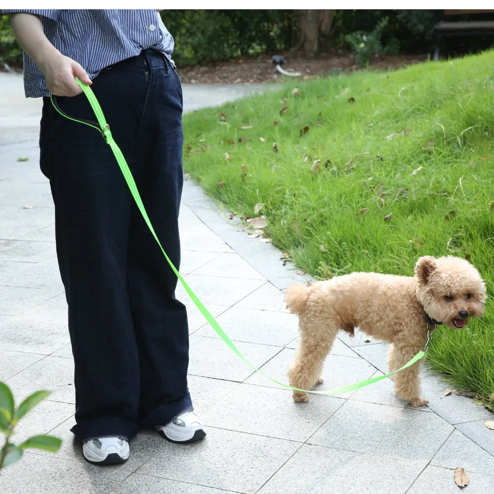 7PCS/Carton Reflective Dog Leash Double Sided Nylon Pet Lead with Padded Handle D Ring Metal Clip for Walking Training 3 Colors Mixed