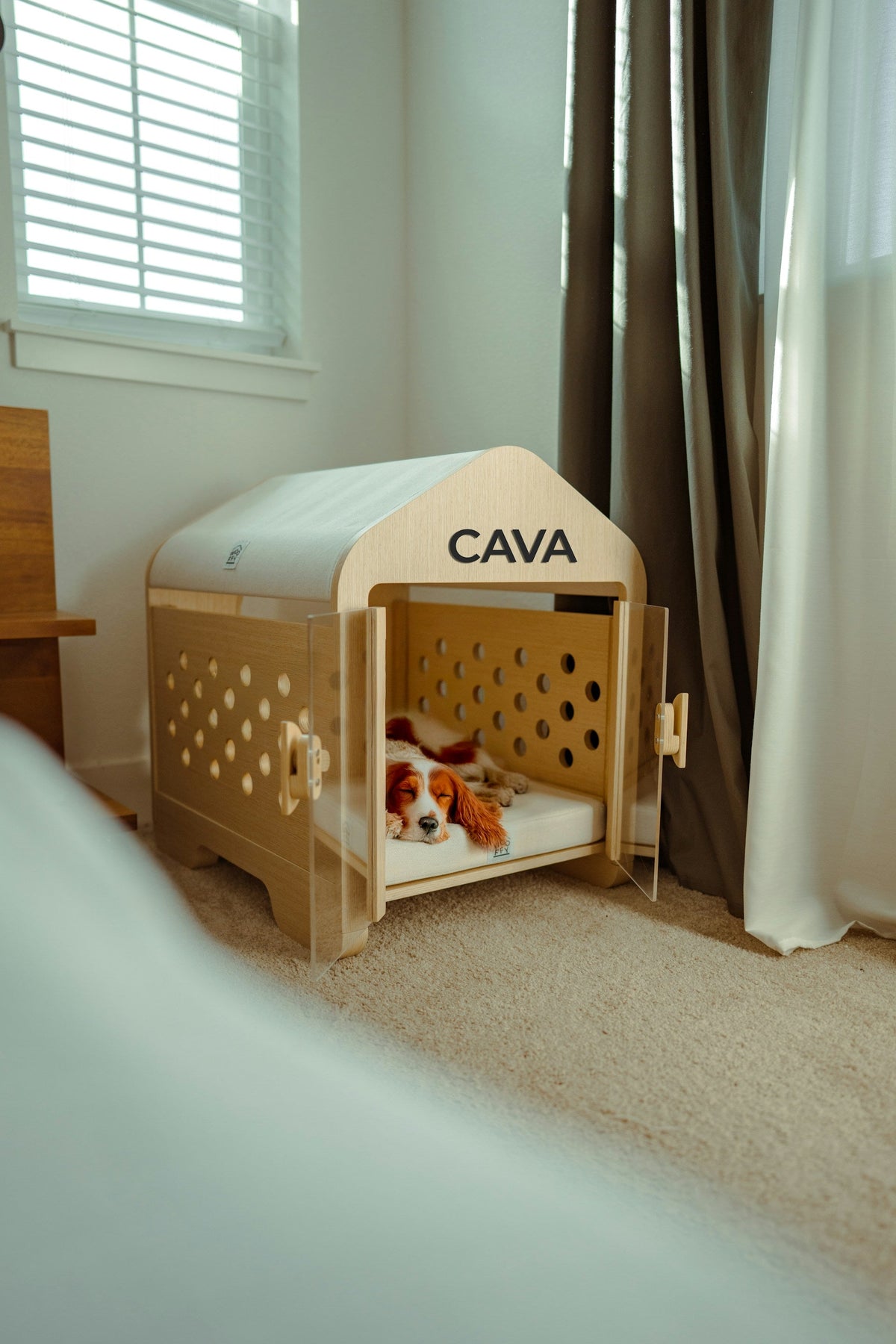 Kennels, Crates & Carriers