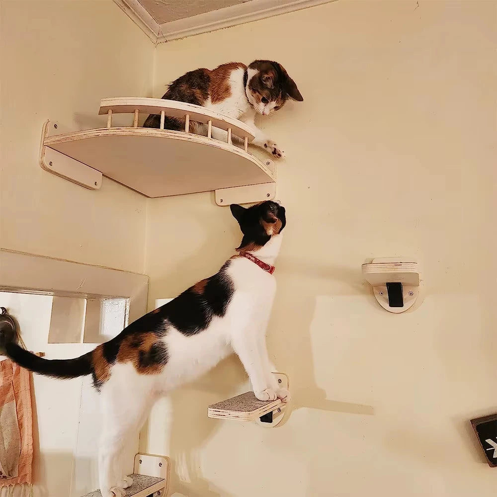 CWV Wall Mounted Cat Hammock Shelves With Pine Steps
