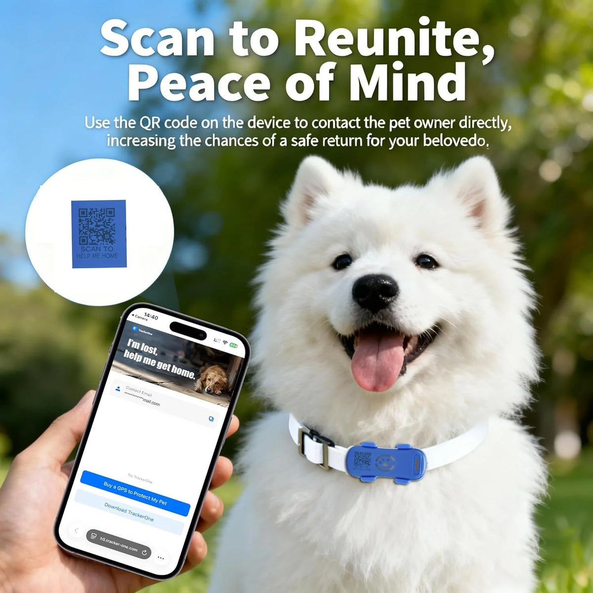 4G Real Time Pet GPS Tracker With Waterproof Safety Features