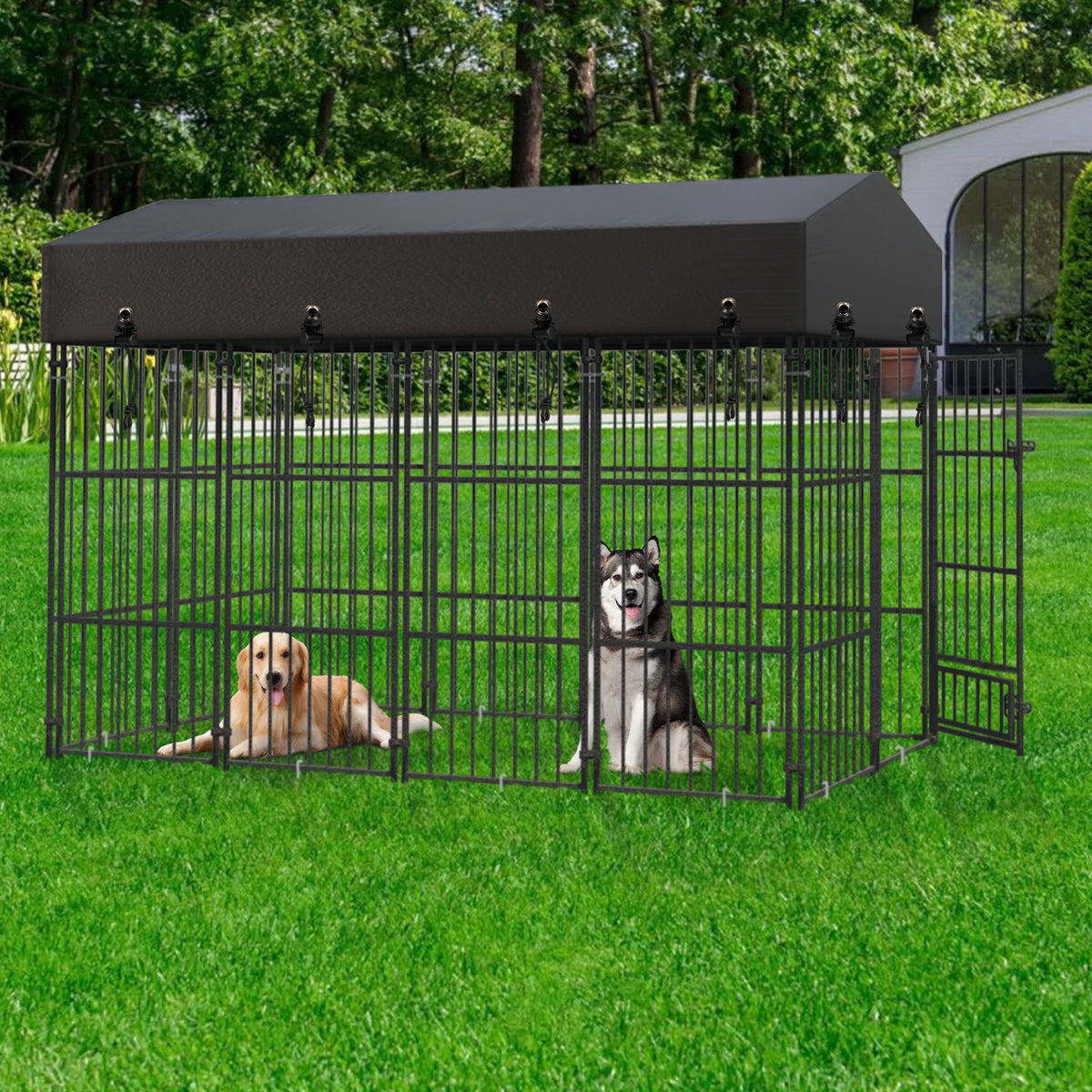 Outdoor Heavy Duty Metal Dog Kennel And Secure Animal Enclosure