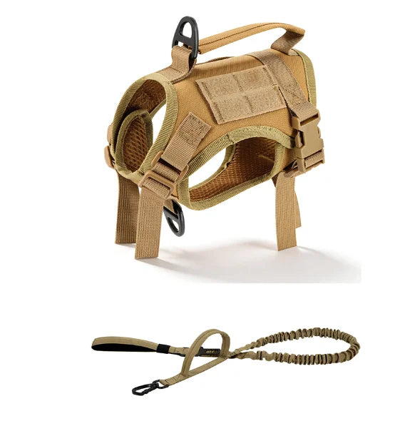 PETRAVEL Adjustable Tactical Cat Harness And Leash Set