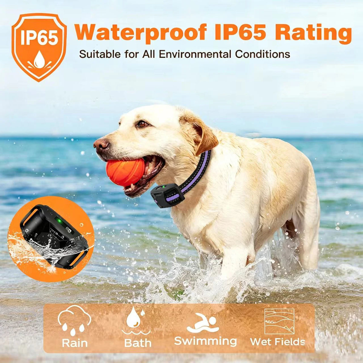 WXRPET Waterproof Electric Dog Training Collar With Remote Control