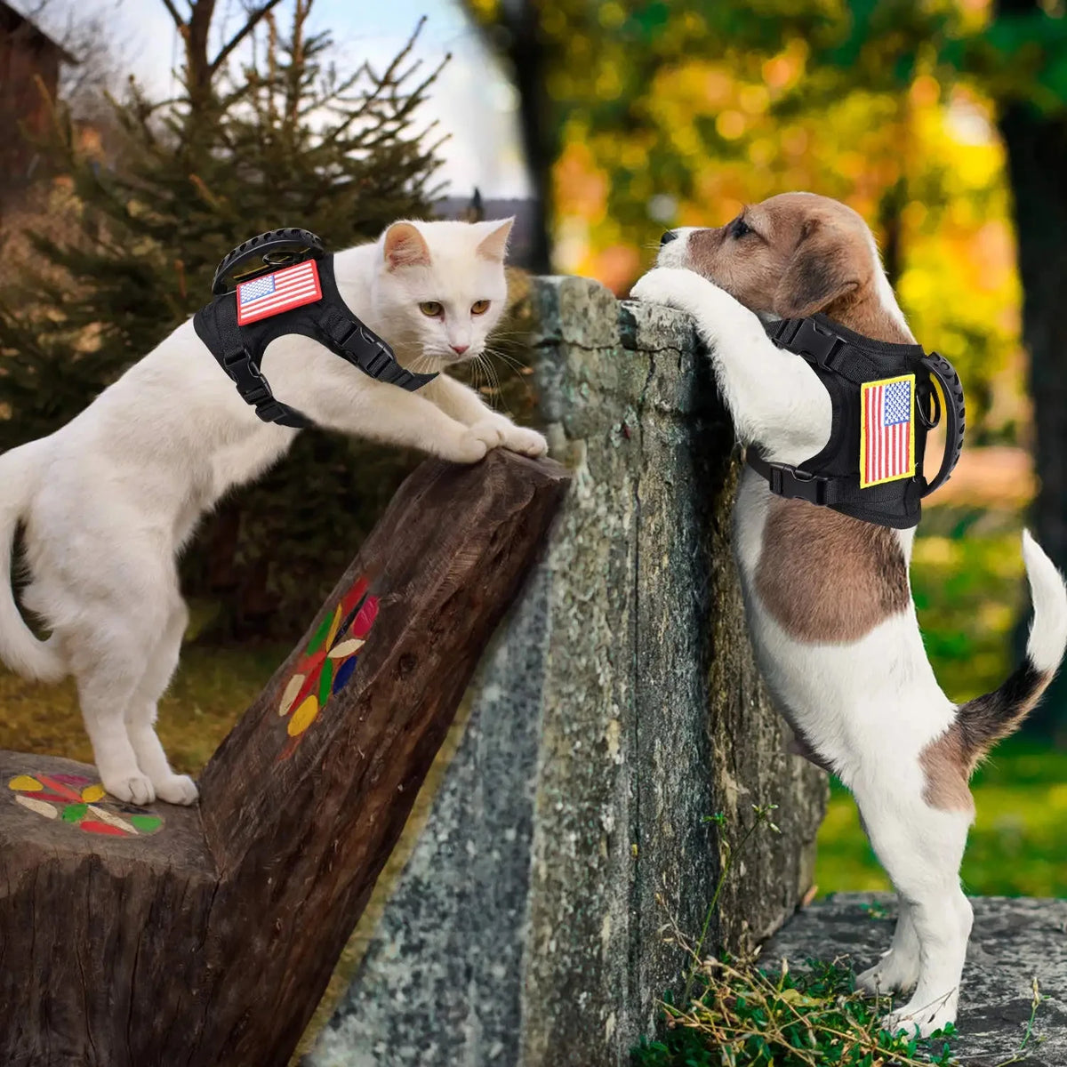 Adjustable Nylon Dog And Cat Harness With Leash Set