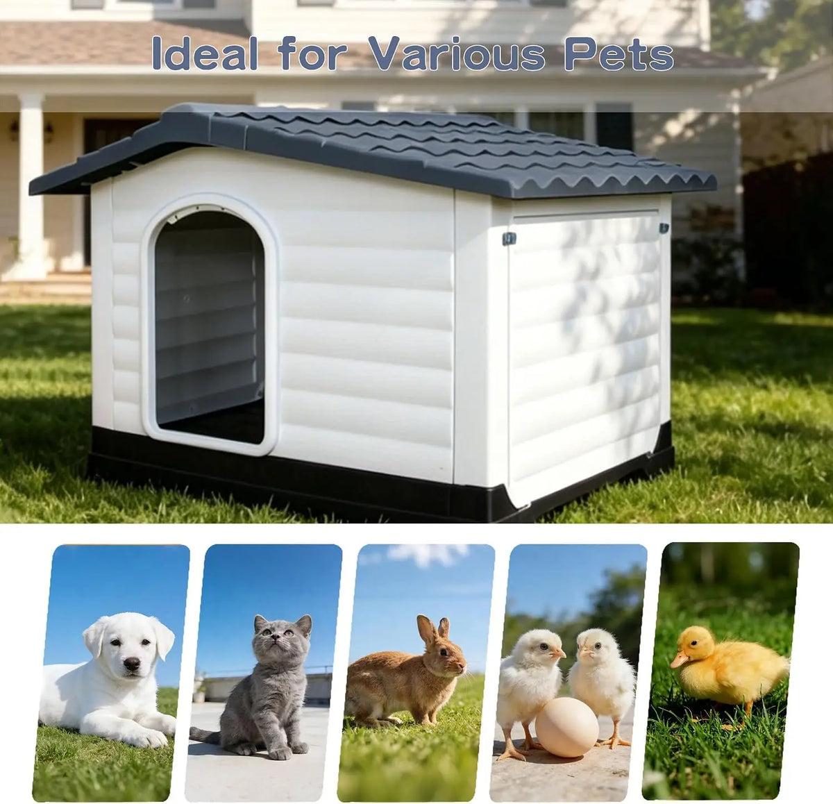 TWISTER CK Waterproof Two Door Dog House With Fold Out Porch