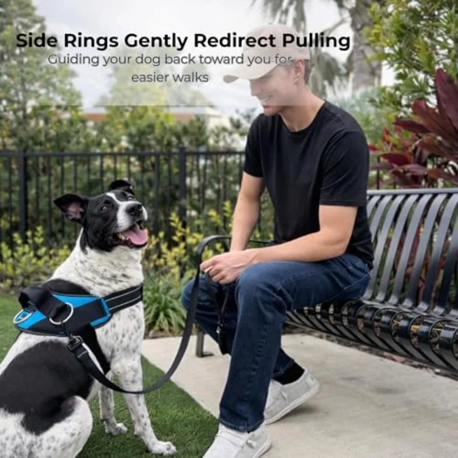 Essential Dog Harness, No-Pull Pet Vest with 3 Leash Clips, No Choke, Reflective, Adjustable and Padded, for Easy Walking and T