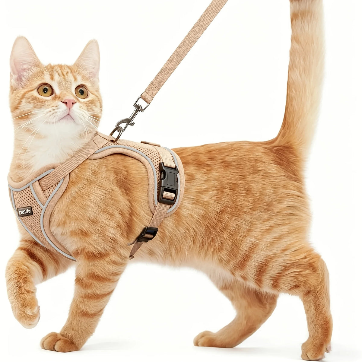 Cat Harness And Leash Set Anti‑Escape Soft Adjustable Breathable Vest‑Style Harness Easy Wear Comfort Safety Kit For Kitten Outdoor Walking Travel Adventure