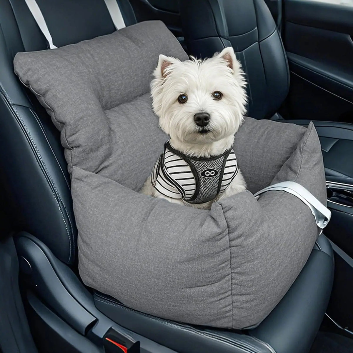 HiMISS Elevated Dog Booster Seat Bed With Safety Tether For Travel