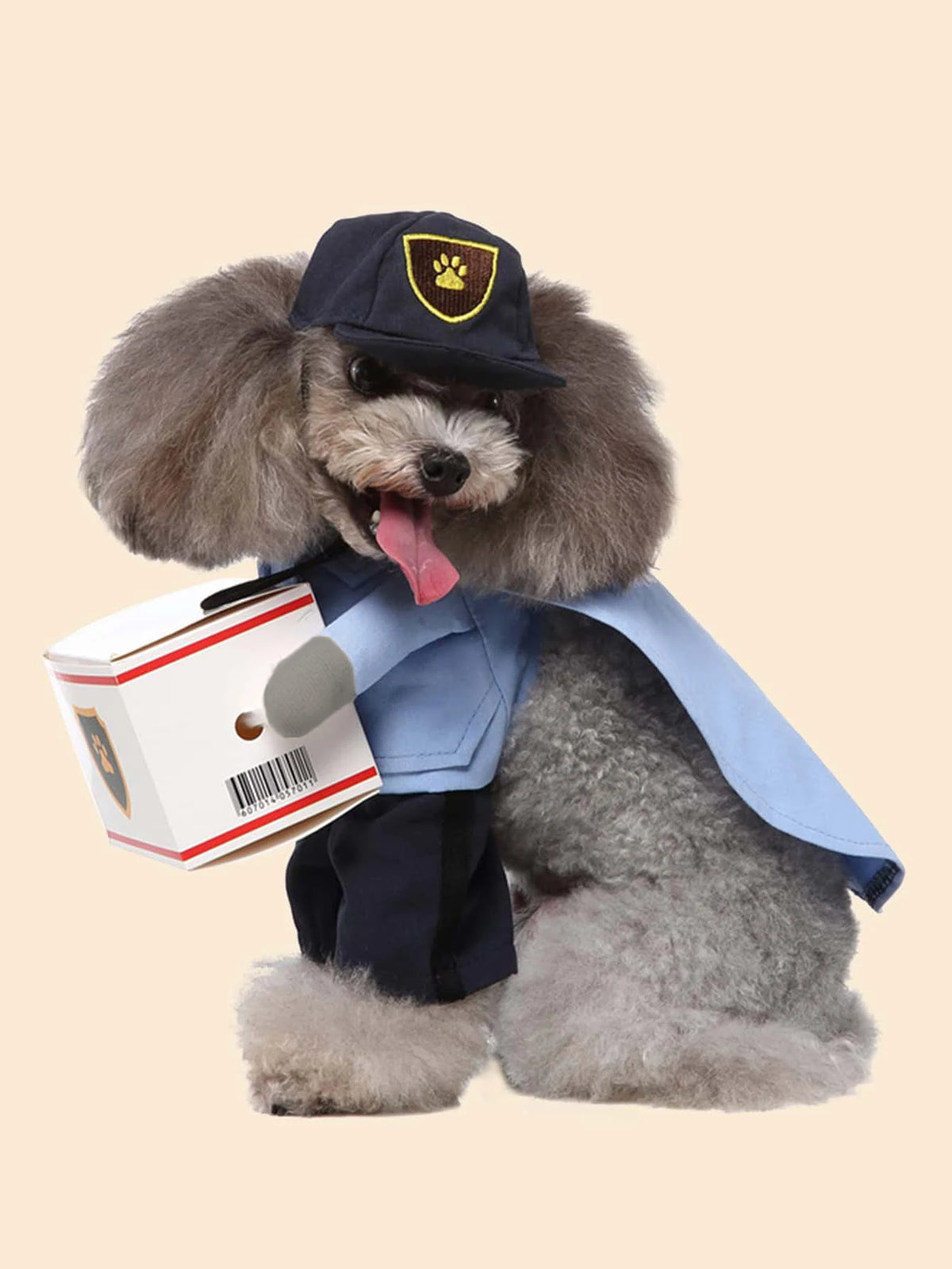 Pet dog transformation costume - Seasonal universal dog clothing - Cute and fashionable - Suitable for small dogs