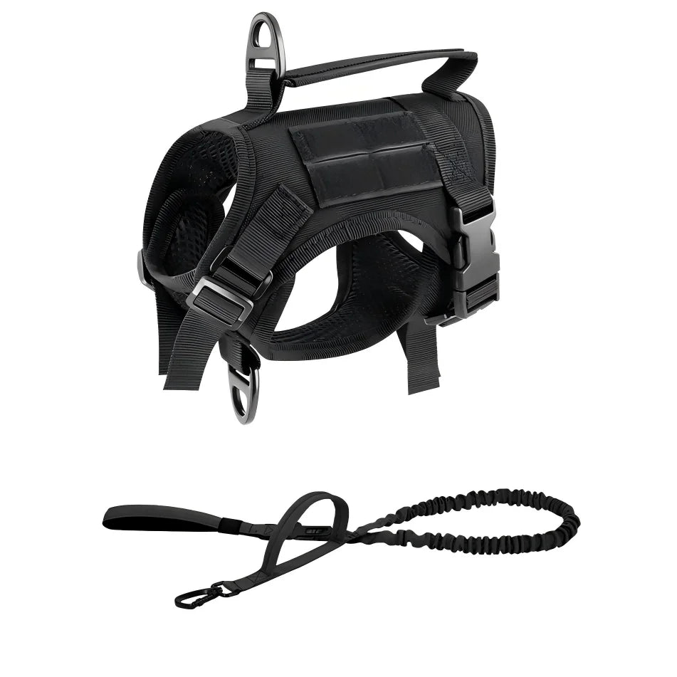 Petravel Adjustable Cat Harness Vest And Leash Set