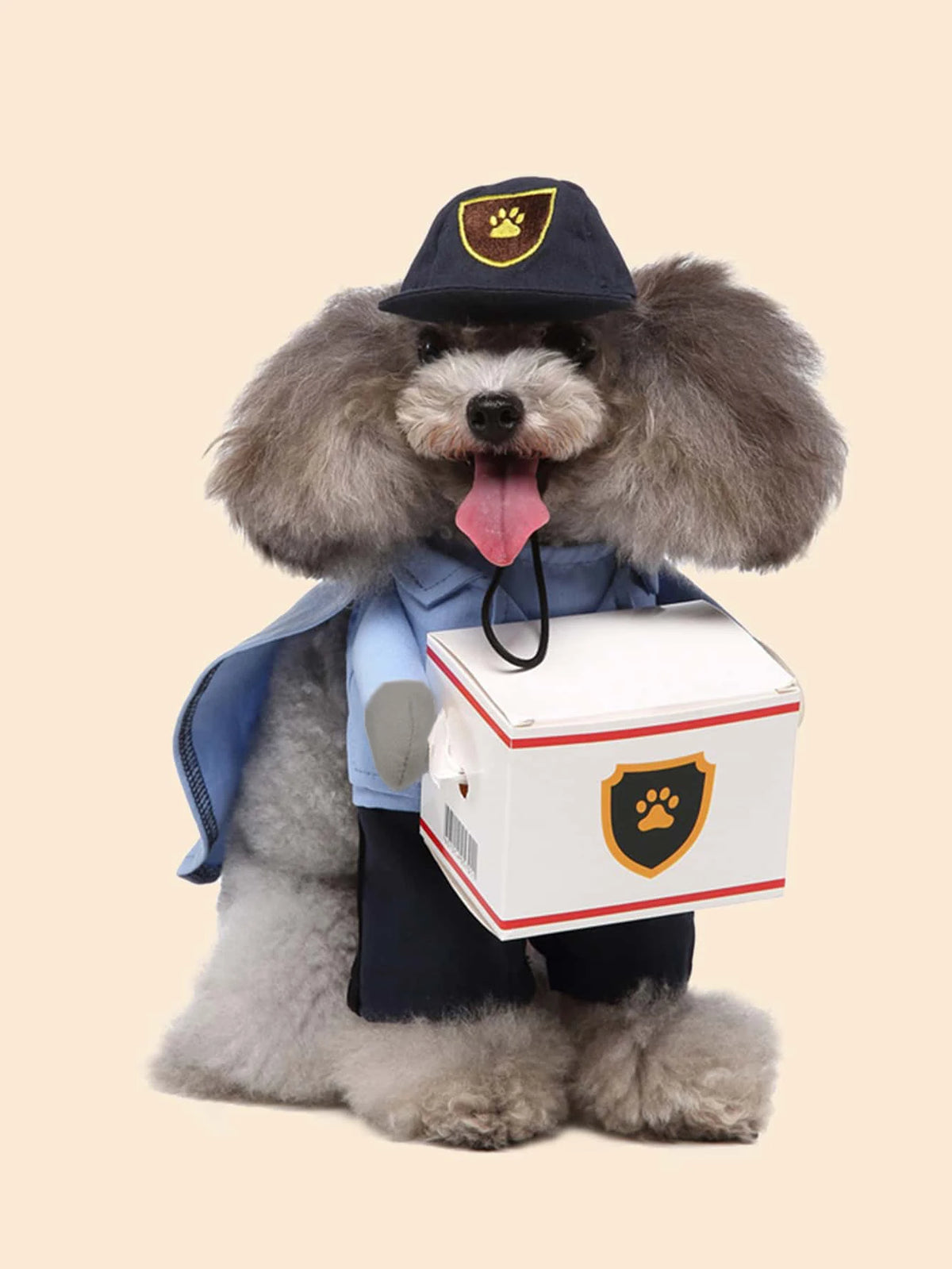 Pet dog transformation costume - Seasonal universal dog clothing - Cute and fashionable - Suitable for small dogs