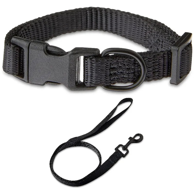 Solid Polyester Adjustable Dog Collar, with 4ft Dog Leash, Black, Extra Small