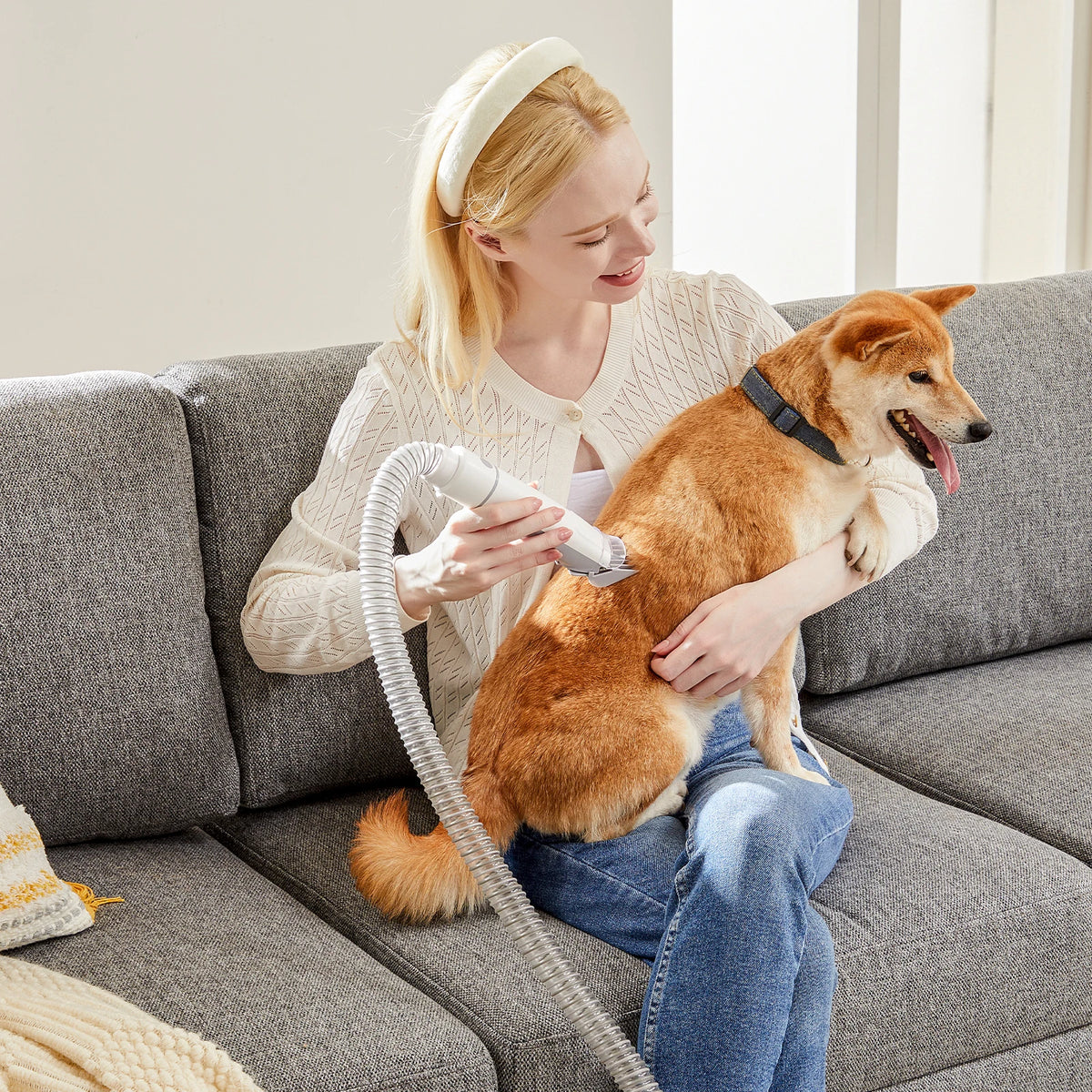 Professional Cordless Pet Grooming Clippers And Vacuum For Dogs Cats
