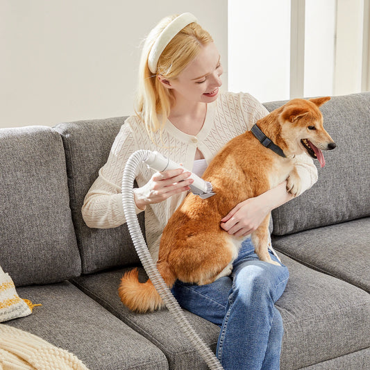 Professional Cordless Pet Grooming Clippers And Vacuum For Dogs Cats