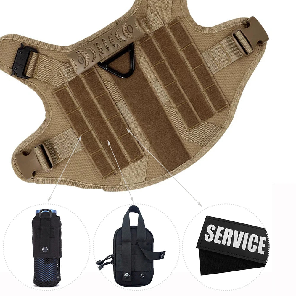 Petravel Padded Nylon Dog Harness And Training Leash Set