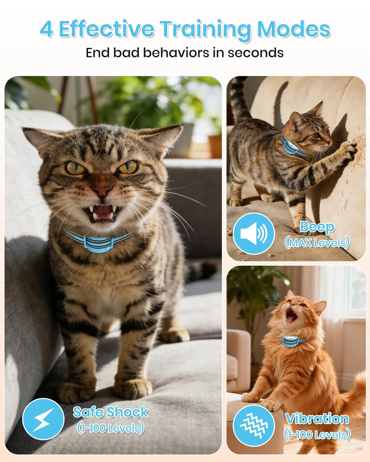 PaiPaitek Wireless Cat Training Collar With Long Range Remote Control