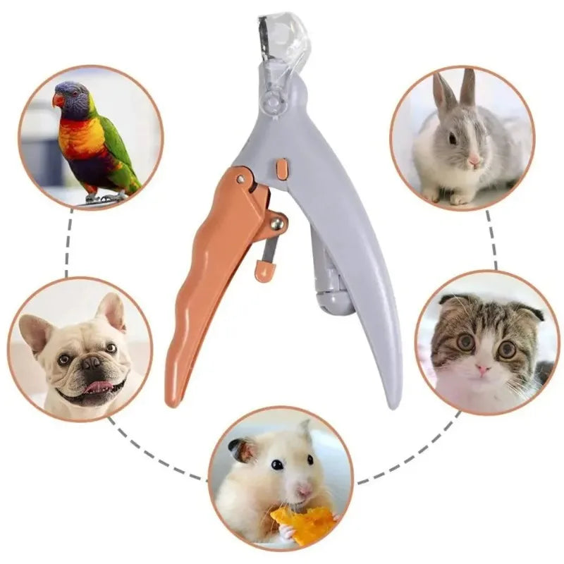Led Light Pet Nail Clipper With Magnifier Lens For Pets