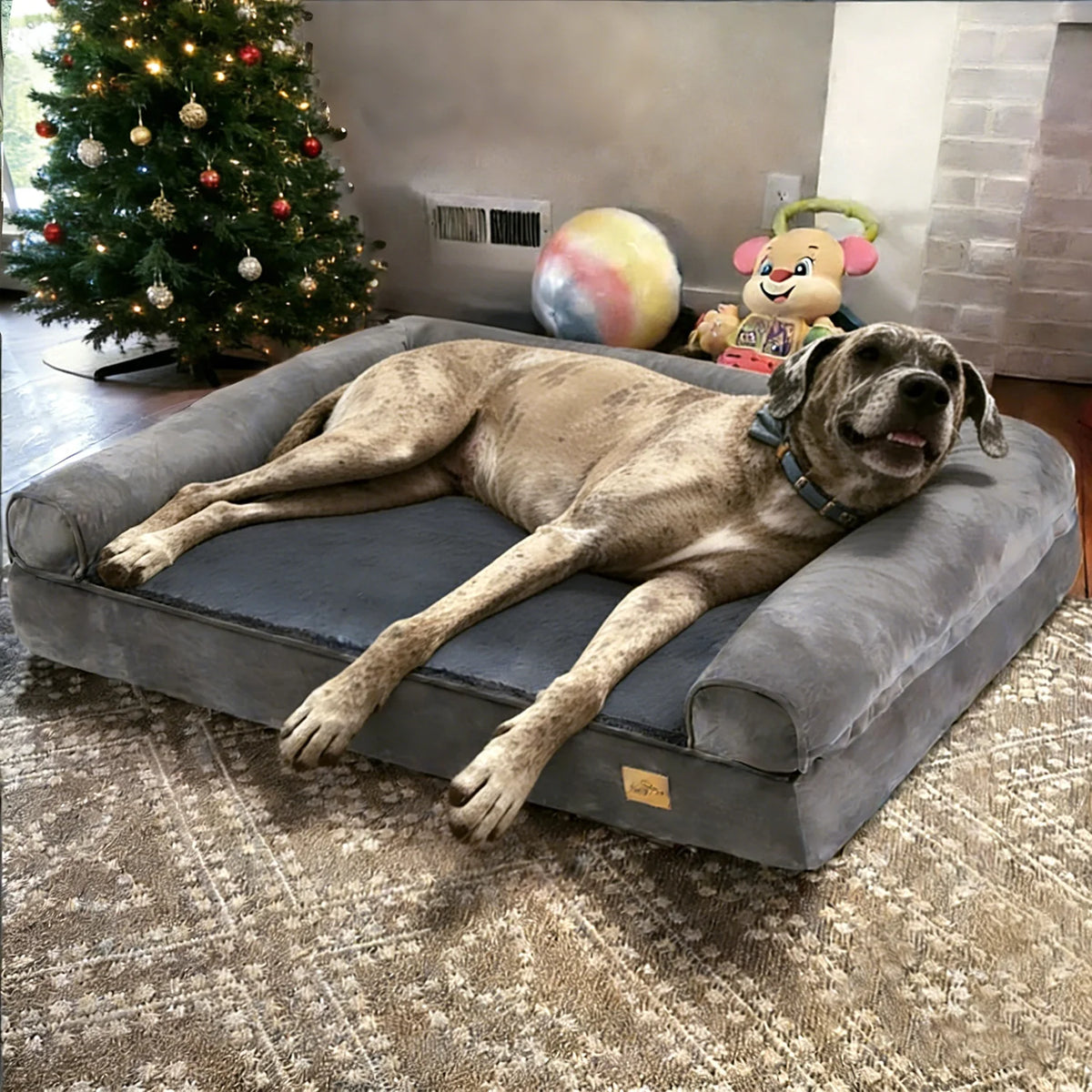 BORWART Orthopedic Memory Foam Calming Dog Sofa Bed Removable Cover