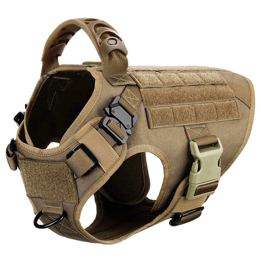 Petravel Padded Nylon Dog Harness And Training Leash Set