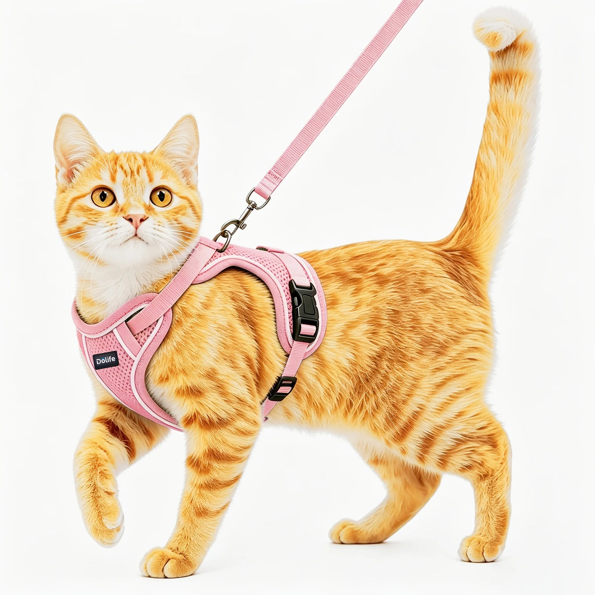 Cat Harness And Leash Set Anti‑Escape Soft Adjustable Breathable Vest‑Style Harness Easy Wear Comfort Safety Kit For Kitten Outdoor Walking Travel Adventure