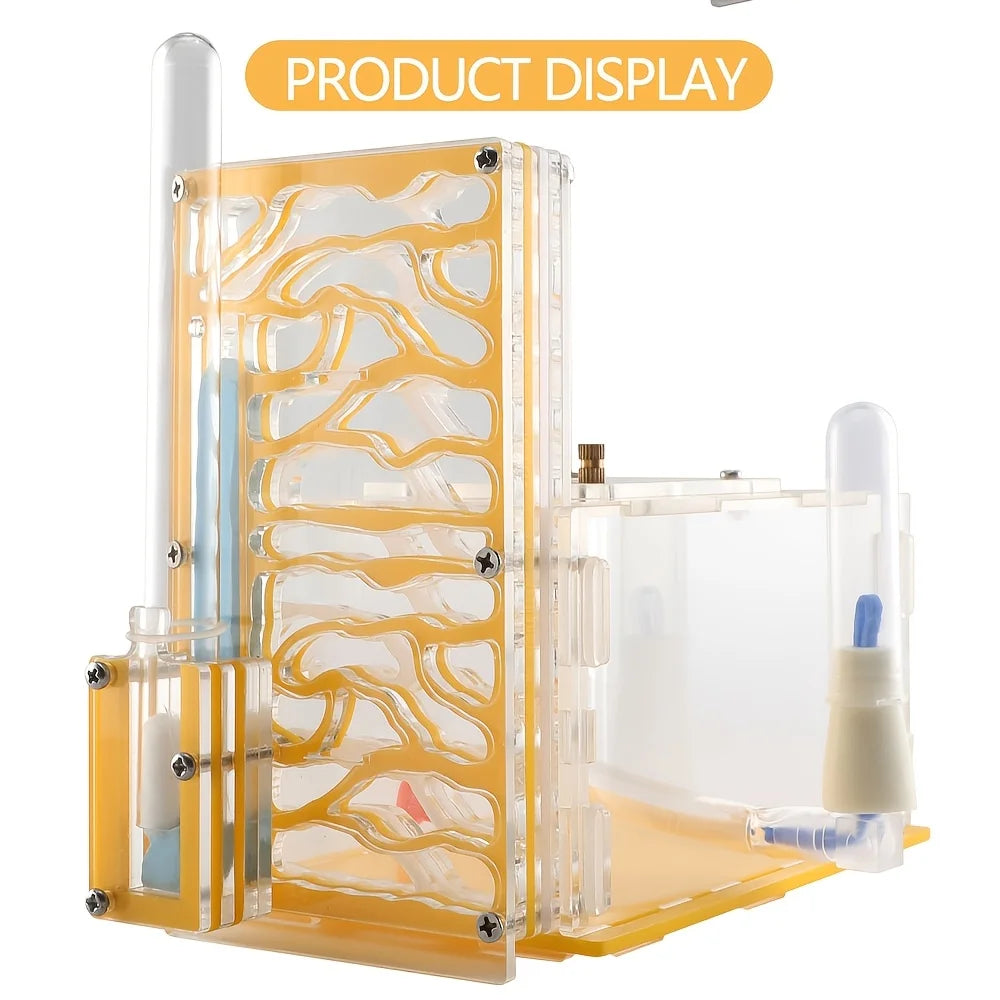 Transparent Acrylic T-Shaped Ant Nest With Built-In Feeding Area