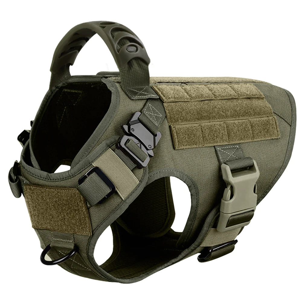 Petravel Padded Nylon Dog Harness And Training Leash Set