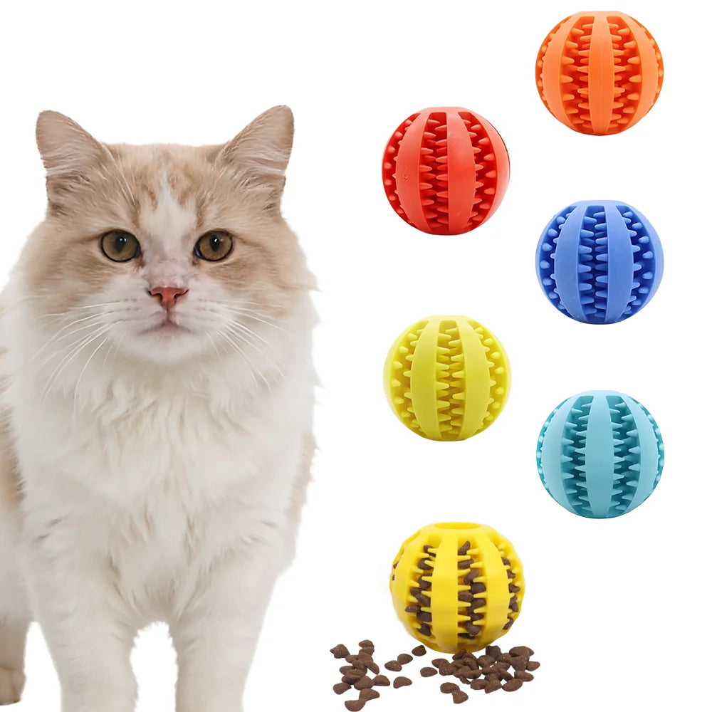 Interactive Rubber Dog Ball Teething And Biting Toy