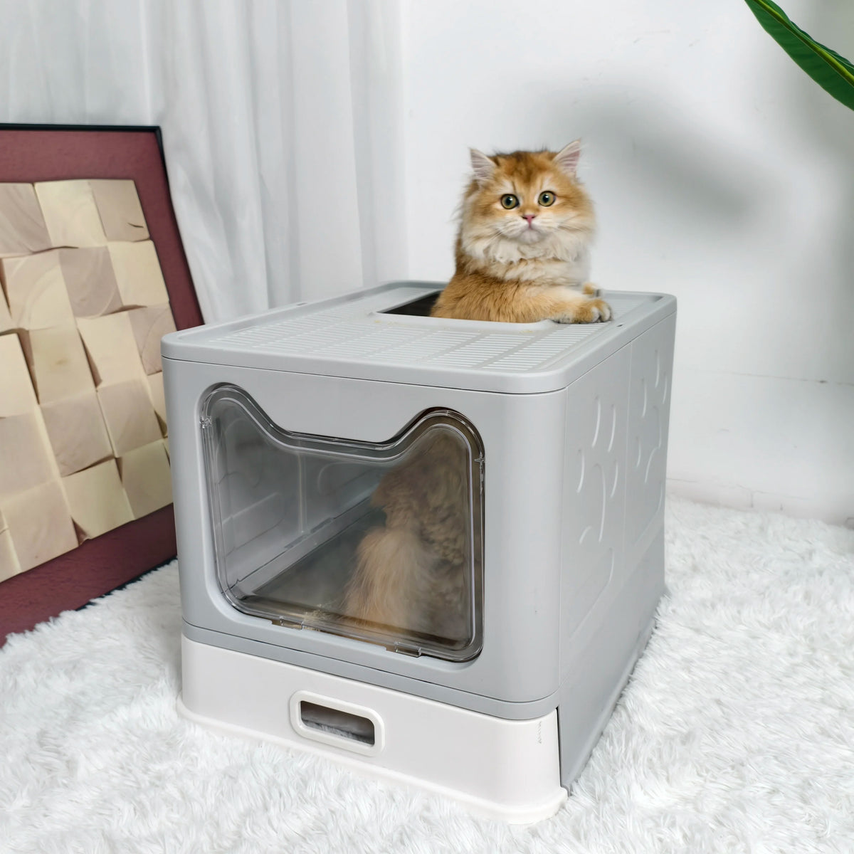 Covered Front Entry Cat Litter Box With Top Exit Scoop