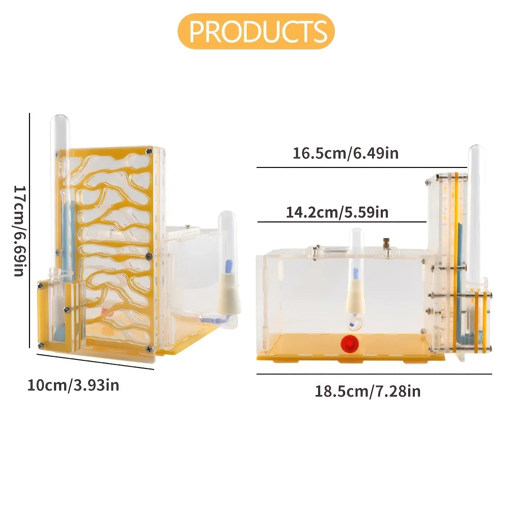 Transparent Acrylic T-Shaped Ant Nest With Built-In Feeding Area