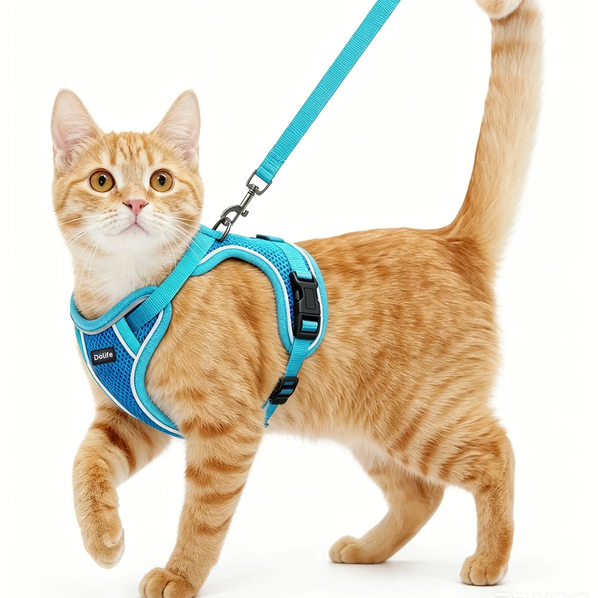 Cat Harness And Leash Set Anti‑Escape Soft Adjustable Breathable Vest‑Style Harness Easy Wear Comfort Safety Kit For Kitten Outdoor Walking Travel Adventure