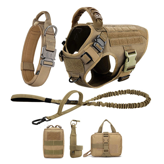 Petravel Padded Nylon Dog Harness And Training Leash Set