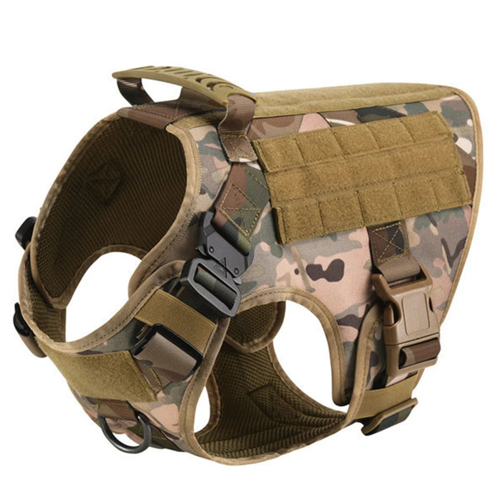 Petravel Padded Nylon Dog Harness And Training Leash Set