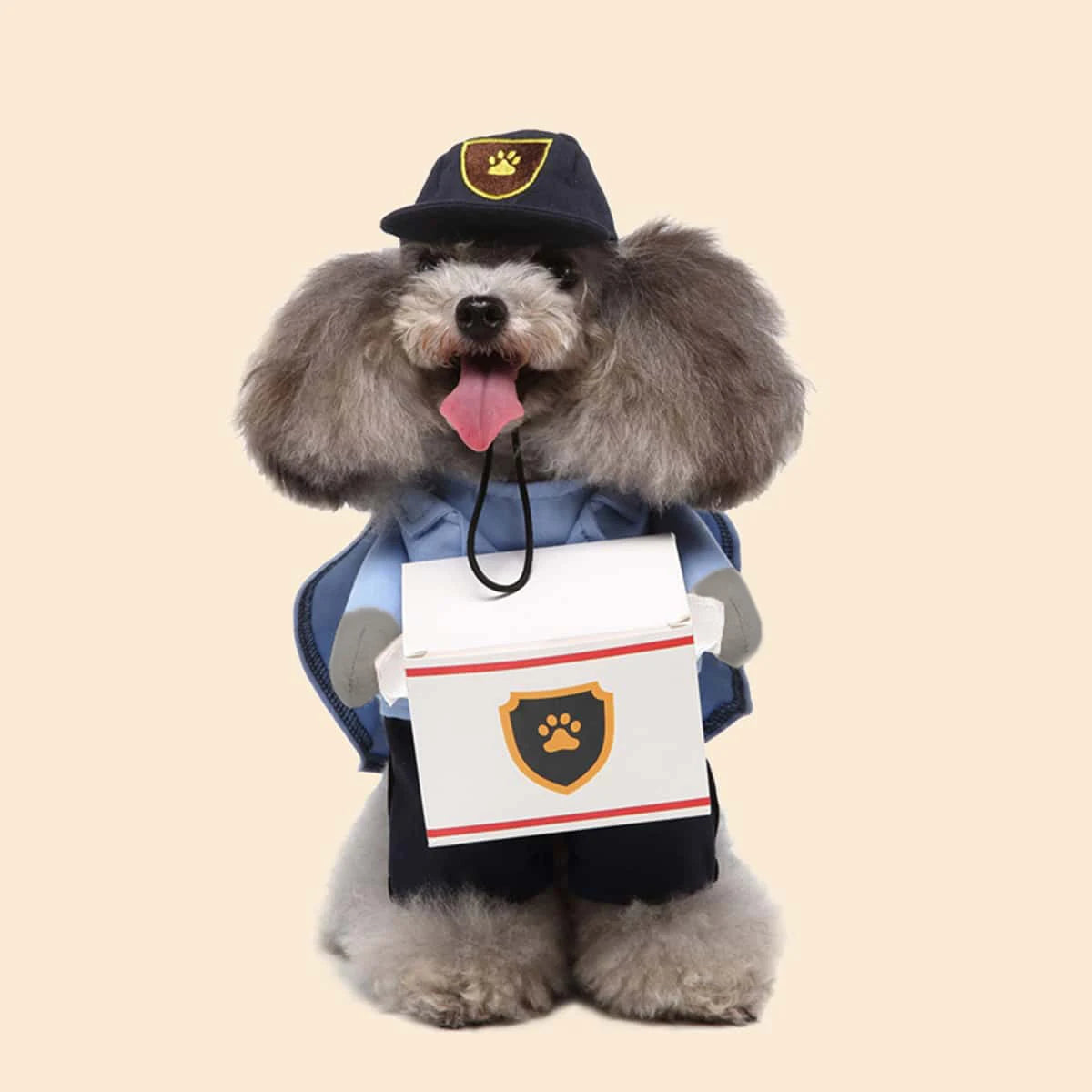 Pet dog transformation costume - Seasonal universal dog clothing - Cute and fashionable - Suitable for small dogs