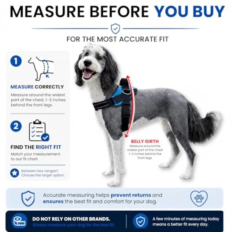 Essential Dog Harness, No-Pull Pet Vest with 3 Leash Clips, No Choke, Reflective, Adjustable and Padded, for Easy Walking and T