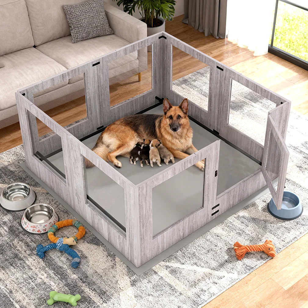 Borwart Heavy Duty Dog Whelping Box With Tempered Glass