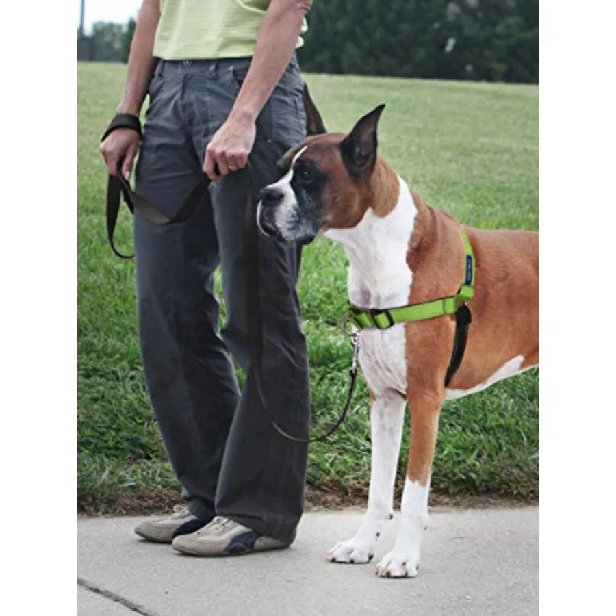 Easy Walk Deluxe Dog Harness, No Pull Dog Harness Perfect for Leash and Harness Training Stops Pets from Pulling and Choking on