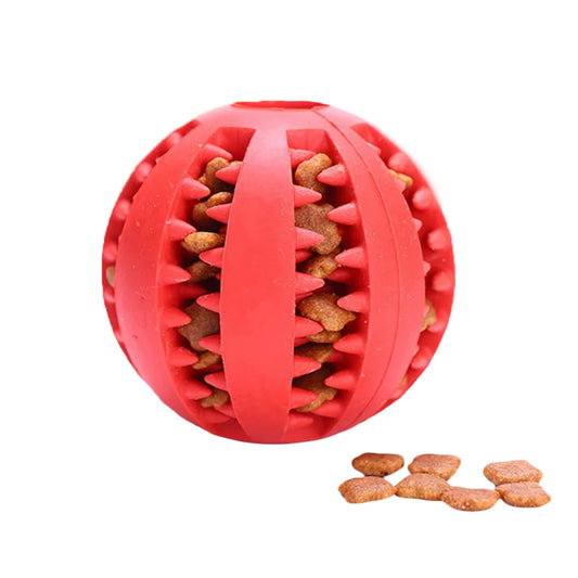 Interactive Rubber Dog Ball Teething And Biting Toy