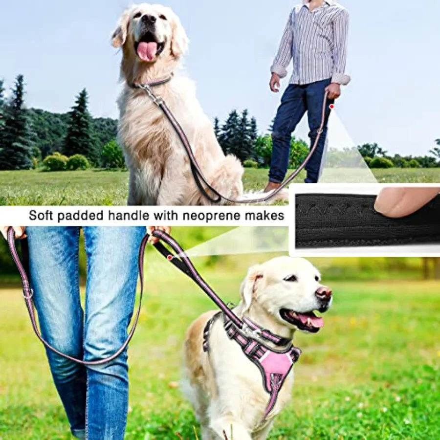 Pet Harness Collar and Leash Set: Reflective Nylon Dog Harness for Puppies and Small Dogs, Black, No-Pull Design with Adjustabl