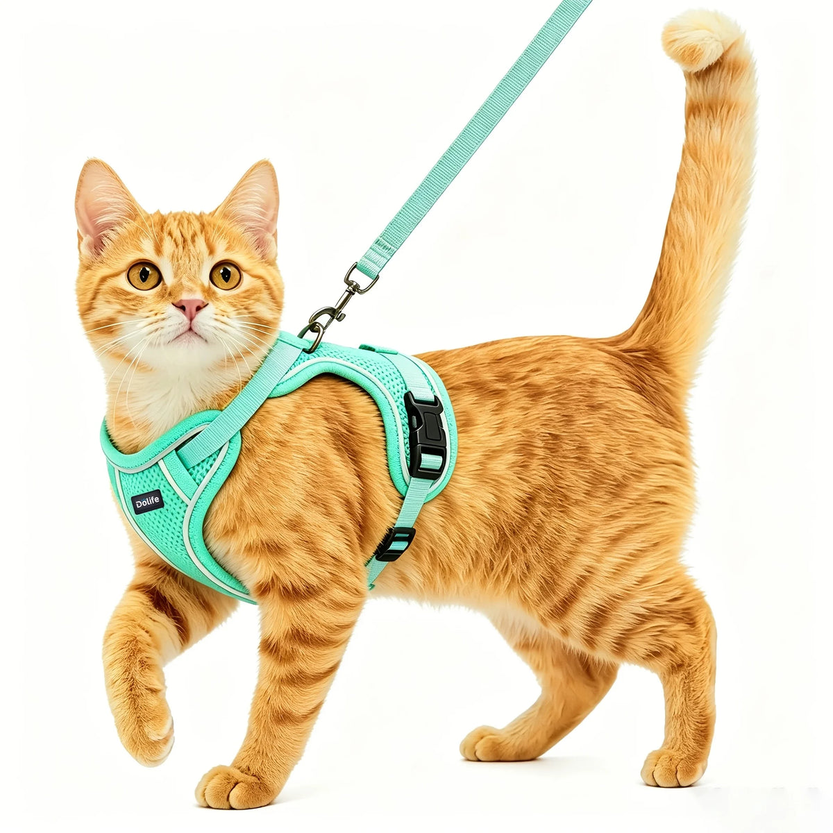Cat Harness And Leash Set Anti‑Escape Soft Adjustable Breathable Vest‑Style Harness Easy Wear Comfort Safety Kit For Kitten Outdoor Walking Travel Adventure