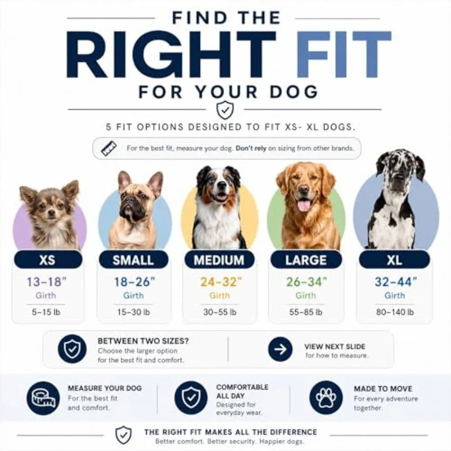 Essential Dog Harness, No-Pull Pet Vest with 3 Leash Clips, No Choke, Reflective, Adjustable and Padded, for Easy Walking and T