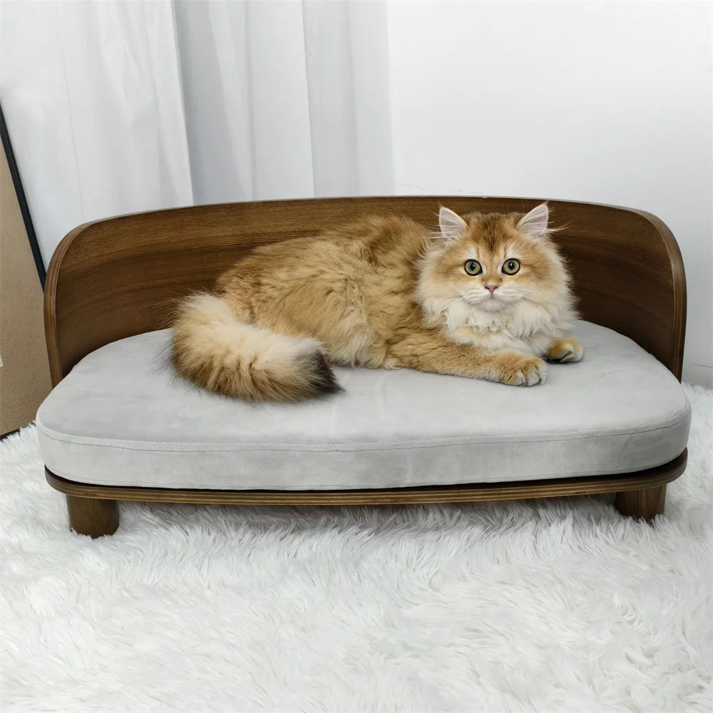 Borwart Elevated Pet Sofa With Eucalyptus Wood Cushion For Dogs