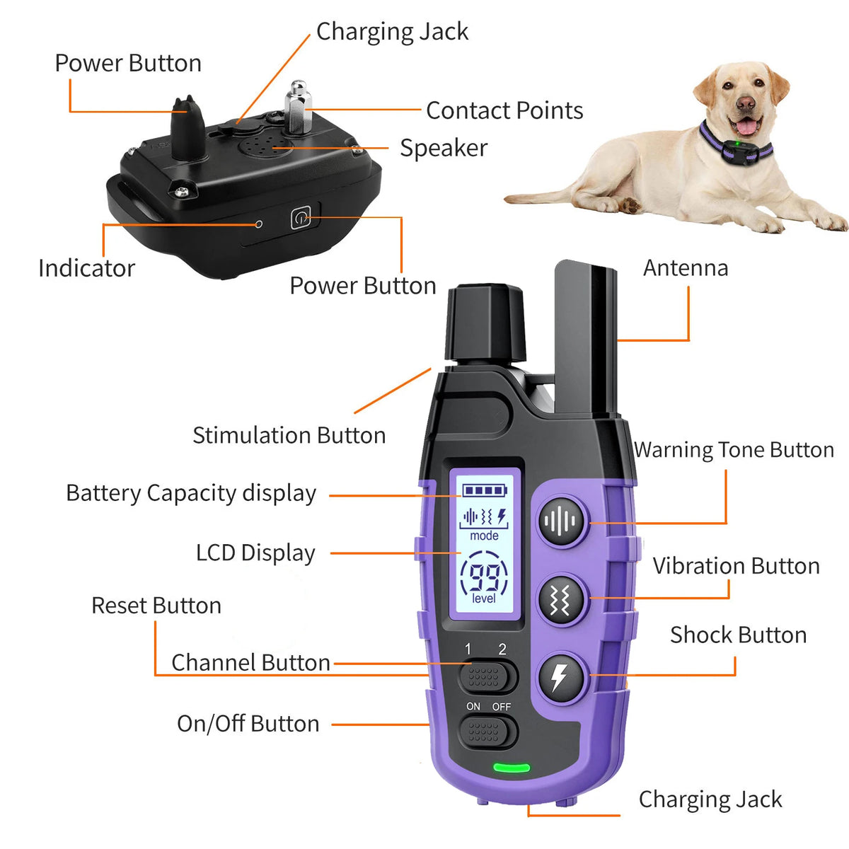 WXRPET Waterproof Electric Dog Training Collar With Remote Control