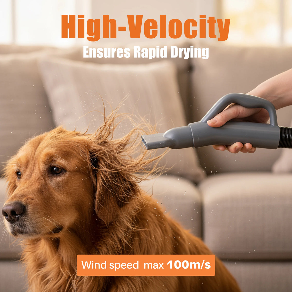 Low Noise Pet Grooming Vacuum Blow Dryer With Four Nozzles