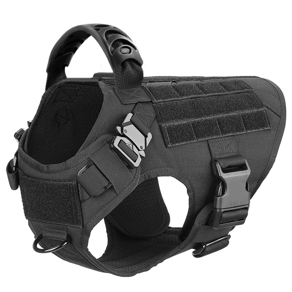 Petravel Padded Nylon Dog Harness And Training Leash Set