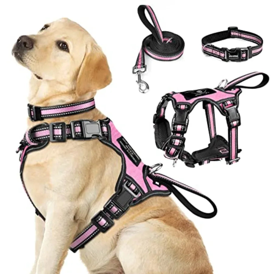 Pet Harness Collar and Leash Set: Reflective Nylon Dog Harness for Puppies and Small Dogs, Black, No-Pull Design with Adjustabl