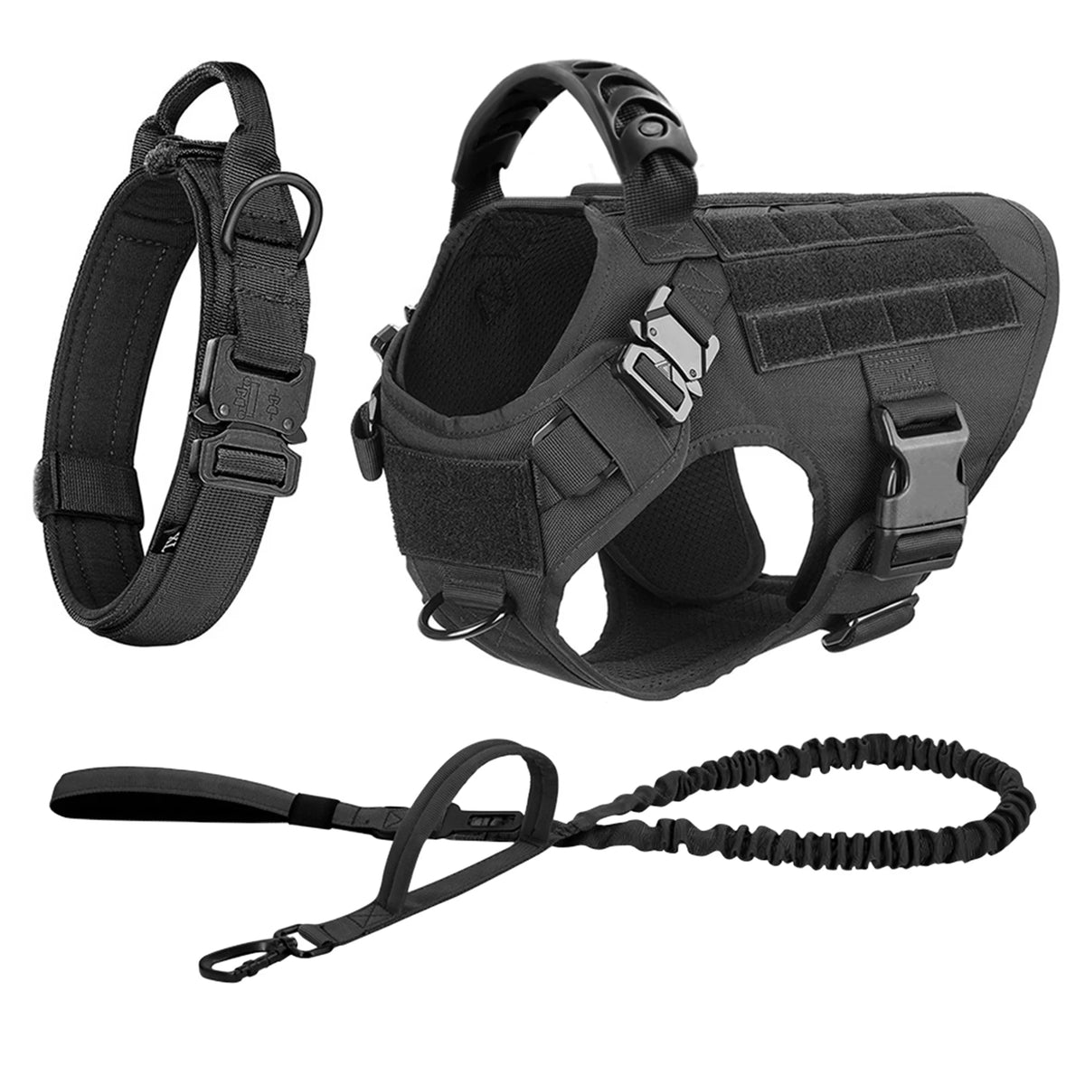 Petravel Padded Nylon Dog Harness And Training Leash Set