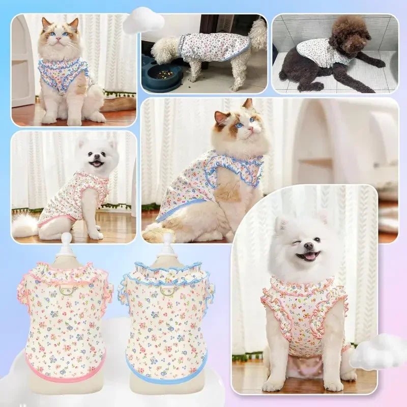1 breathable summer shirt for small dogs, with ruffled sleeves, elastic pet T-shirt, Puppy Clothes, suitable for puppies, Sphynx cats, kittens, French Bulldogs, Dachshunds