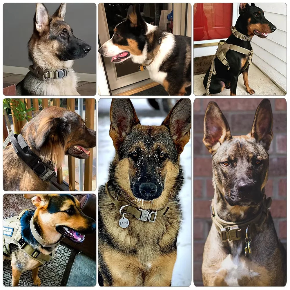 PetraVel Adjustable Nylon Dog Harness And Collar For Outdoor Walks