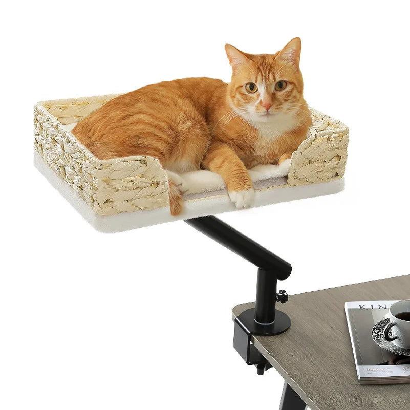Breathable 360 Rotatable Cat Desk Bed Stand For Indoor Cats